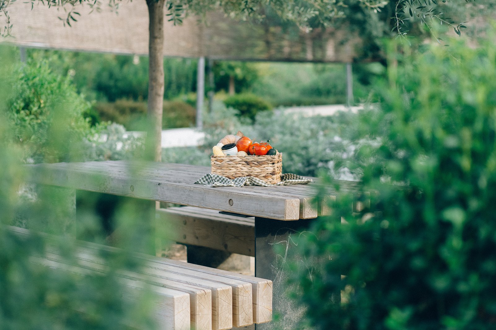 basket of vegetables on a table in a garden